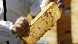 Вячеслав Гладков: 13 белгородских фермеров стали победителями первого этапа конкурса «Агростартап»