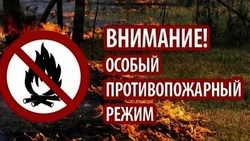Власти продлили особый противопожарный режим на территории Белгородской области