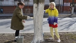 Чистота — дело общее. Как алексеевцы и красненцы добровольно служат Белгородчине