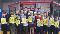Алексеевские борцы выиграли 10 золотых медалей на турнире в Усмани