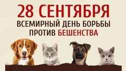 Алексеевцы и красненцы смогут привить своих питомцев от бешенства бесплатно 28 сентября 