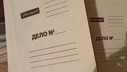 Жительница Алексеевки угрожала убийством сожителю своей матери