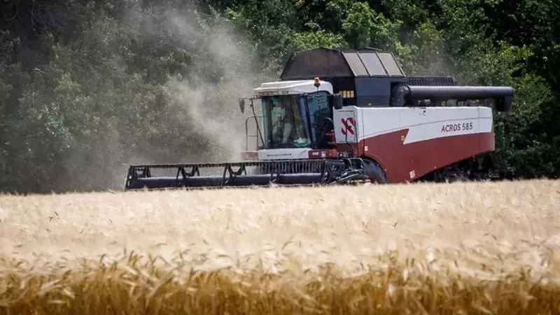 Вячеслав Гладков – о высоких показателях урожайности по итогам уборочной кампании в 2025 году