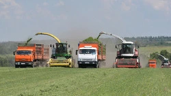 Красненцы подвели годовые итоги сельскохозяйственной отрасли района