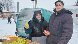 Супруги из Новосолдатки начали поставлять красненцам фрукты и овощи более 20 лет назад