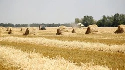 Вячеслав Гладков: белгородские аграрии приступили к уборке зерновых