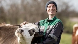 Вячеслав Гладков: Правительство РФ выделило ещё 200 млн рублей на проект по социальному контракту