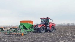 Полеводы Красненского района продолжили весеннюю посевную кампанию