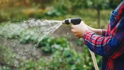 Меньше двух недель осталось до начала поливного сезона в Белгородской области