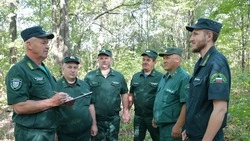 «Хранители зелёных массивов». Как коллектив Красненского лесничества