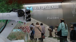 День Белгородской области начнётся на выставке-форуме «Россия» 11 января 