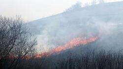 Белгородские власти накажут виновных в пожарах от пала травы