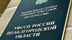 Замглавного судебного пристава региона Елена Чанышева проведёт прием граждан в Алексеевке