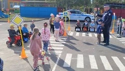 Алексеевские инспекторы дорожного движения посетили детский сад