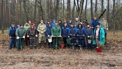 Лесники и муниципальные служащие райцентра Красное восполнили лесной фонд 
