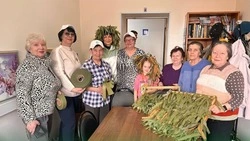 Алексеевские геронтоволонтёры поделились опытом со своими коллегами из Центра общения