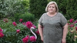 Алексеевский комплексный центр соцобслуживания помогает пожилым жить активно