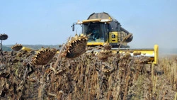 Аграрии Алексеевского округа завершили уборку технических культур