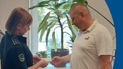 Белгородцы получили более 800 охотничьих билетов с начала 2025 года