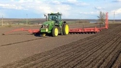 Аграрии Краснеского округа засеяли поля более 3500 гектаров зерновыми культурами