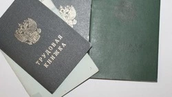 Алексеевский отдел предпринимательства пояснил понятие испытательного срока при трудоустройстве