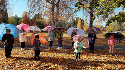 Детские сады Алексеевского горокруга отметили День разноцветных зонтов