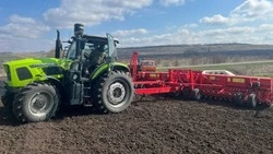 Красненские аграрии начали сев ранних зерновых культур