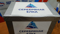 Алексеевские единороссы поддержали благотворительную партийную акцию «Серебряная ёлка»