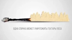 Белгородские сотрудники лесного хозяйства проведут противопожарную агитацию среди населения