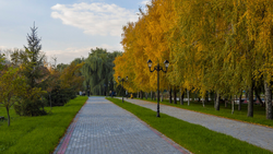 Лучшие проекты по созданию комфортной городской среды выберут в России
