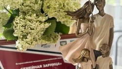 Жители Белгородской области станут участниками Всероссийской игры «Семейная зарница» в полуфинале