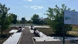 Жительница Алексеевки поделилась своим положительным опытом работы с «Платформой обратной связи»