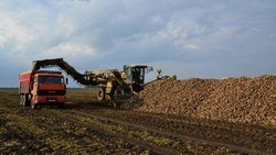 Вячеслав Гладков сообщил о возобновлении работы аграриев в полях 
