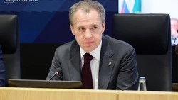 Вячеслав Гладков – о необходимости создания среды для реализации инициатив через федеральные гранты