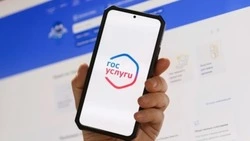 Минюст России напомнил о необходимости сдачи отчета для НКО в электронном виде