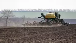 Вячеслав Гладков сообщил о росте урожая овощей открытого грунта в Белгородской области