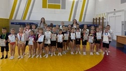 Соревнования по спортивной акробатике прошли в Красненском районе