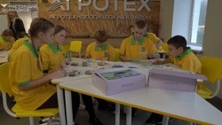 Вячеслав Гладков рассказал об обучении школьников в агроклассах