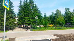 12 пешеходных переходов дооборудованы возле школ и детсадов в Алексеевском горокруге
