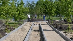 Новый сквер появится в Горках Красненского района