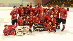 Алексеевские хоккеисты вышли в «Финал четырёх»