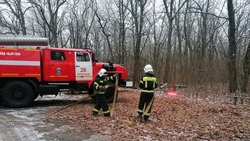 Красненские пожарные отработали навыки тушения лесных пожаров