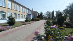 Новые спортивная и игровая площадки появятся в Афанасьевской школе Алексеевского горокруга