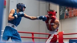 Боксёрская вершина. Как алексеевец стал самым юным мастером спорта на Белгородчине в 2025 году