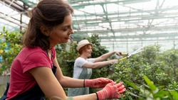 Белгородские сельхозпроизводители получат субсидии на посадку и уход за многолетними растениями