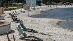 Вячеслав Гладков рассказал о подготовке к купальному сезону в Белгородской области