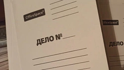 Алексеевец отдал деньги мошеннику за виртуальные игровые аксессуары