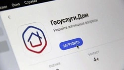 Более 86 тысяч белгородцев воспользовались мобильным приложением «Госуслуги. Дом»
