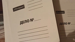 Судья Алексеевского районного суда напомнила об ответственности несовершеннолетних