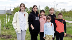 Алексеевские школьники посадили аллею из вишен и тюльпанов в честь Дня Победы